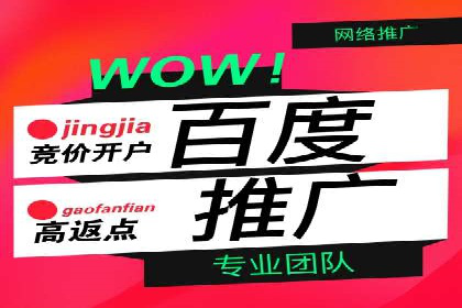 成功企业如何借助百度推广代运营公司实现逆袭