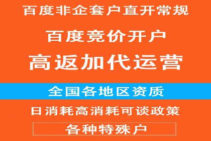 SEM推广策略：成功案例解析